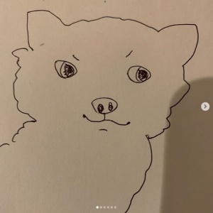 石田ゆり子、仔犬のイラスト披露で大反響「なんだこのクセになる絵は」(1ページ目) - デイリーニュースオンライン