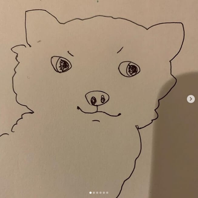 石田ゆり子、仔犬のイラスト披露で大反響「なんだこのクセになる絵は」