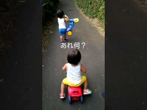 【地味に怖い】双子2歳2カ月 散歩中に何か居る！最後に…来ないで！Σ（￣□￣;） - YouTube