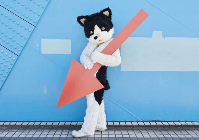 「猫の名前ランキング2020」発表！1位は“性別”に関わらず付けられる名前（1/2） - mimot.(ミモット)