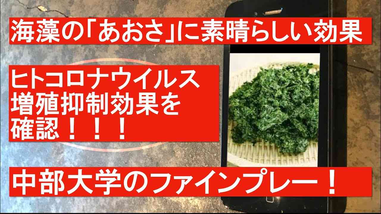 海藻の「あおさ」にヒトコロナウイルス増殖抑制効果を確認【中部大学】 - YouTube