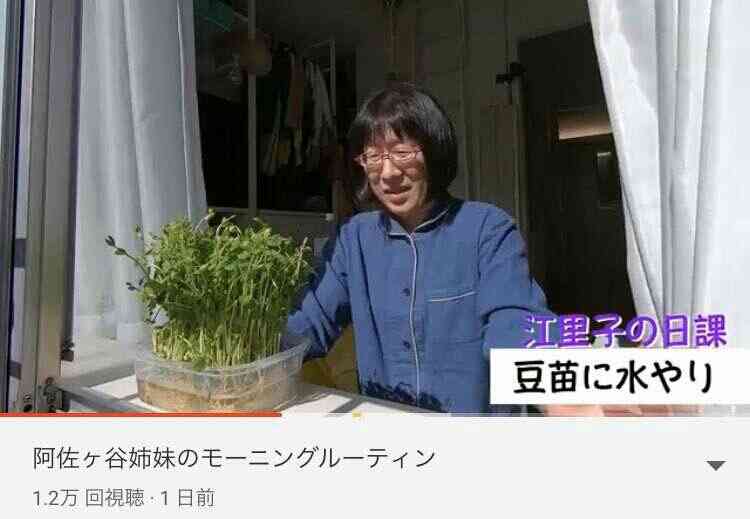 豆苗について