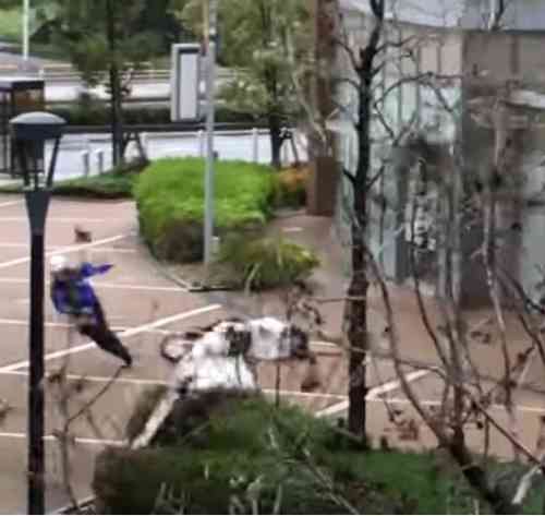 台風、大雪などの際にデリバリーを頼むことについて【あり？なし？】