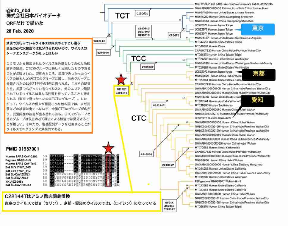 教授がエジプト旅行後に新型コロナ感染判明→卒業式が中止に。学長が会見で憤り