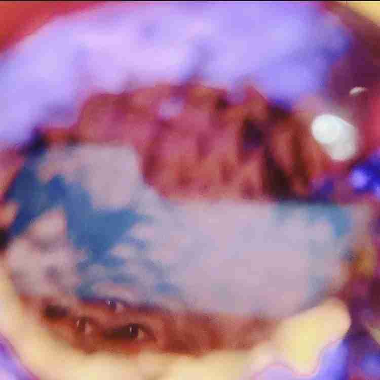 工藤静香、大きく口を開けたあくび写真を投稿　「びっくりした…」