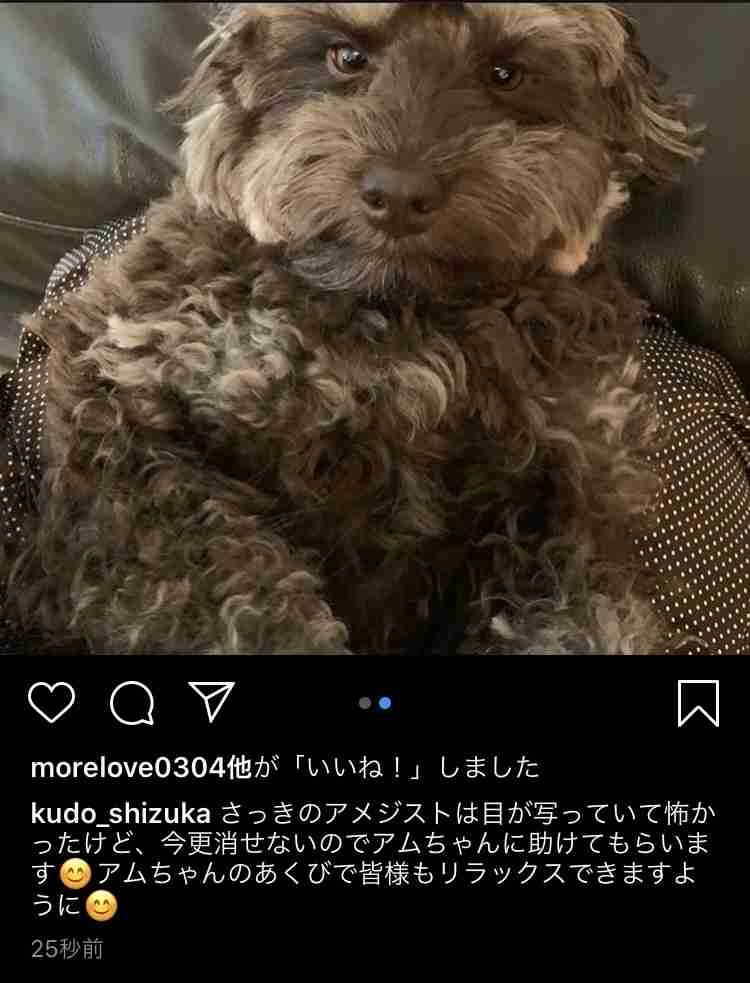 工藤静香、大きく口を開けたあくび写真を投稿　「びっくりした…」