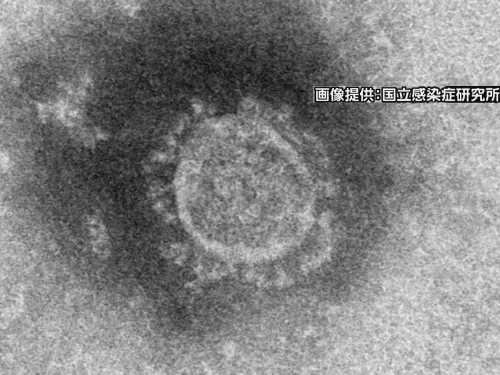 クルーズ船乗客が“再び陽性に”…三重の70代男性 陰性で3/2退院し公共交通機関で帰宅も12日発熱（東海テレビ） - Yahoo!ニュース