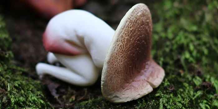 眞子内親王と小室圭さん　代替わり儀式の終わる5月に結婚発表か