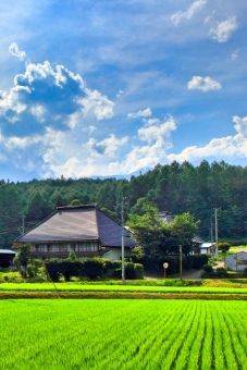 もし育った環境を選び直せるなら