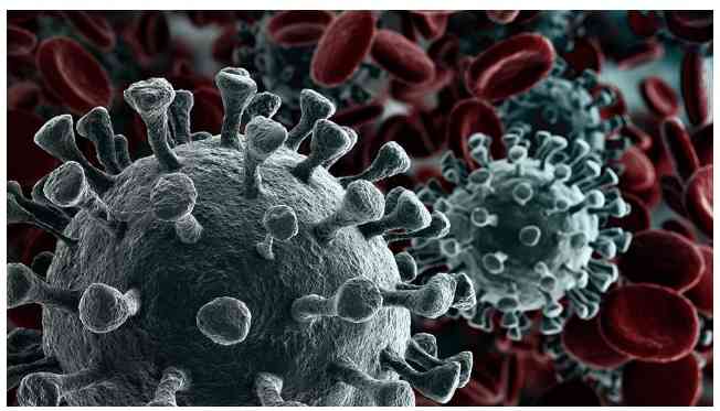 CONFIRMED: CoVid-19 coronavirus found to contain unique “gain-of-function” property “for efficient spreading in the human population”-exact quote from science paper just published in Antiviral Research - James Fetzer