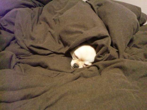 現代版『東ラブ』追加キャストに眞島秀和、高田里穂ら