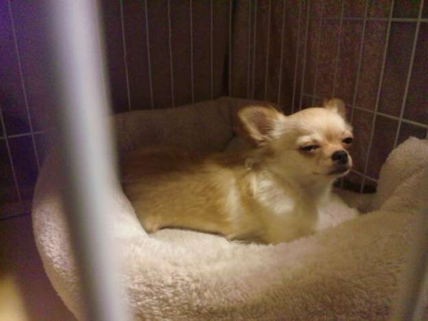 現代版『東ラブ』追加キャストに眞島秀和、高田里穂ら