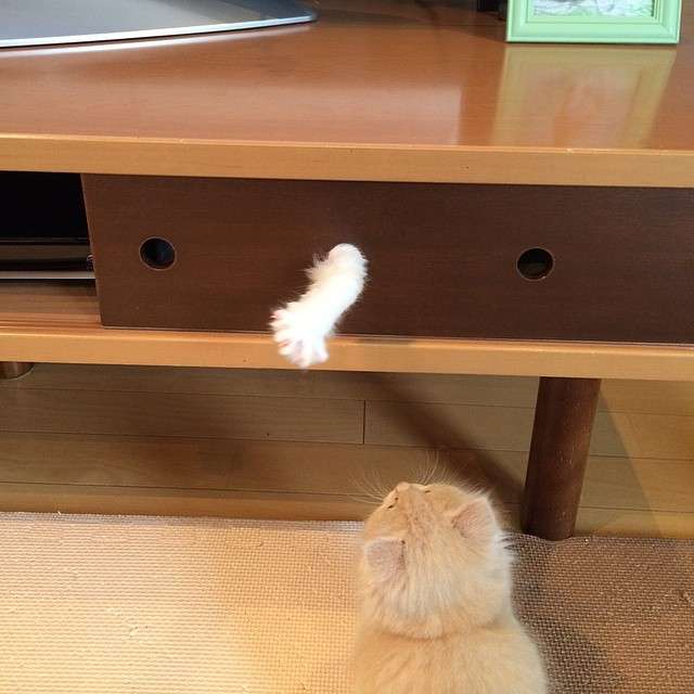 怪奇現象とまではいかないけど