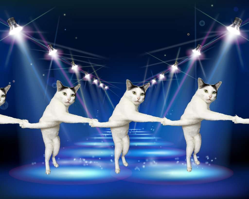 変なポーズの猫画像ください