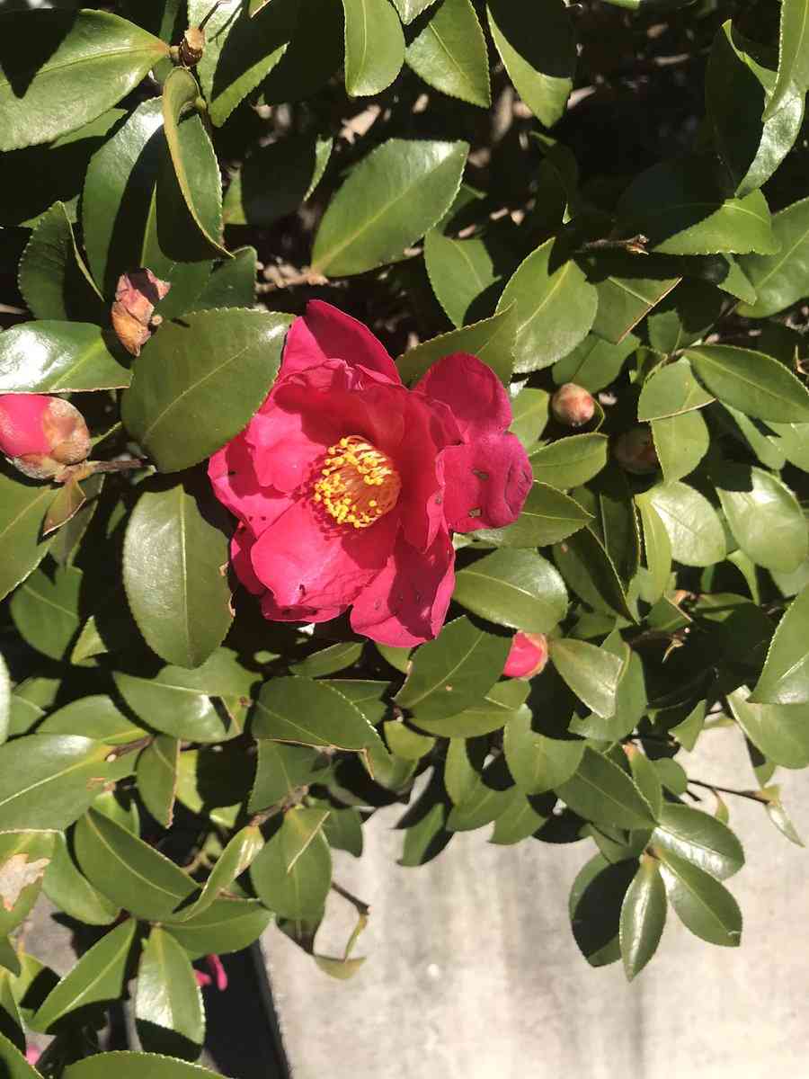 現代版『東ラブ』追加キャストに眞島秀和、高田里穂ら