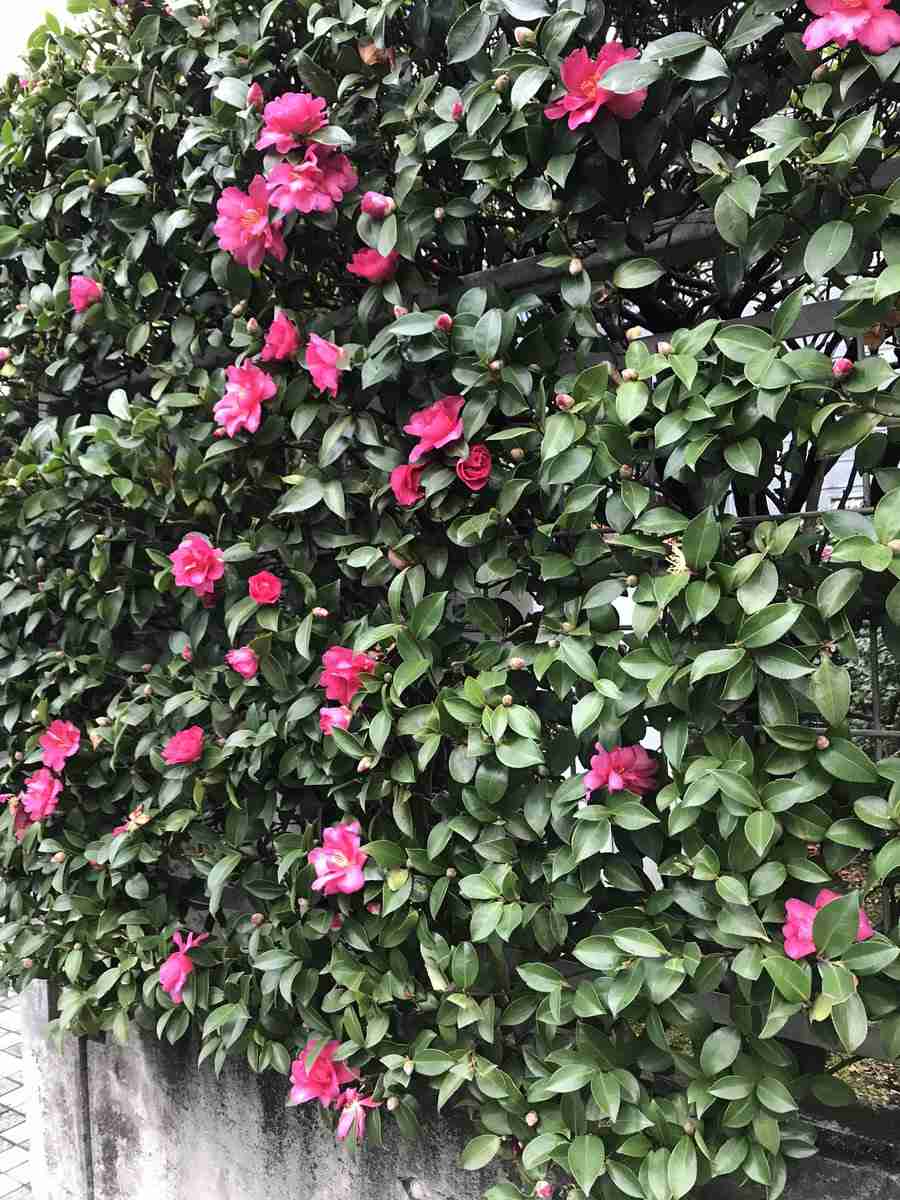 現代版『東ラブ』追加キャストに眞島秀和、高田里穂ら