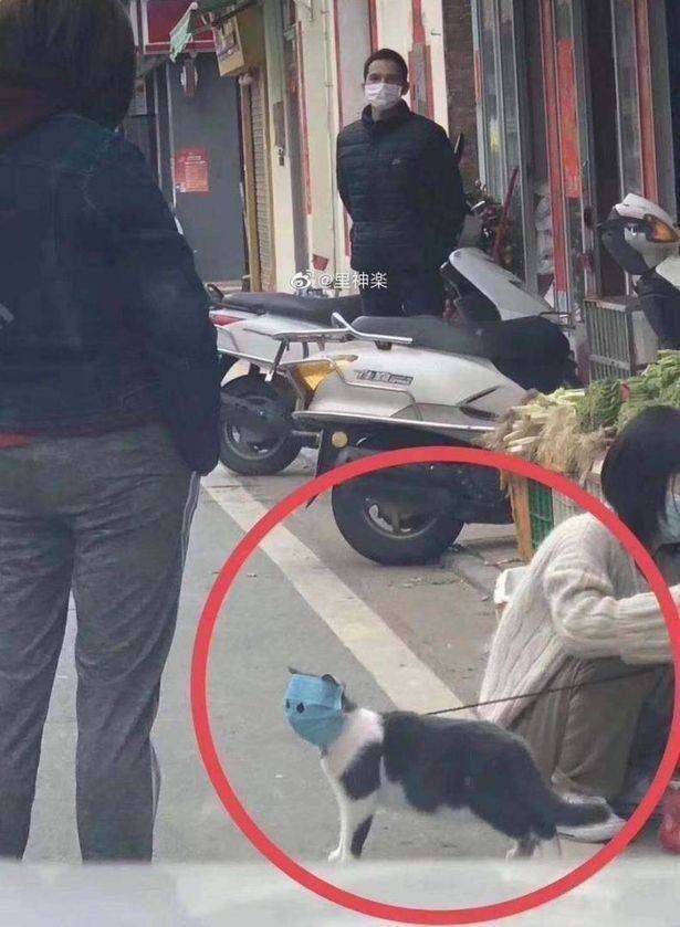 週末に楽しく雑談したい人が集まるトピ