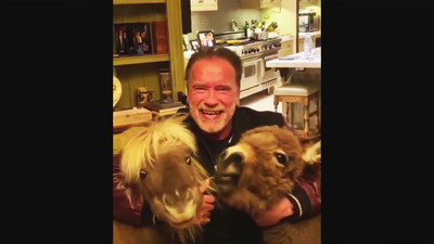 ターミネーターも外出自粛 シュワちゃん自宅で馬とロバとまったり（FNN.jpプライムオンライン） - Yahoo!ニュース