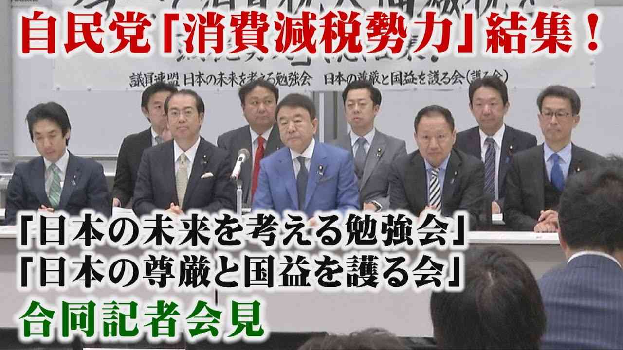 【減税勢力総結集！】『消費税減税』に向けての緊急声明～「日本の未来を考える勉強会」「日本の尊厳と国益を護る会」合同記者会見[桜R2/3/30] - YouTube