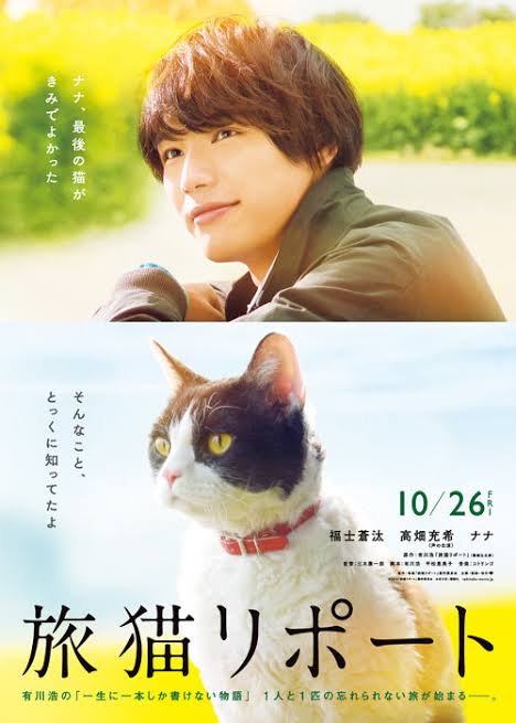 【ドラマ・映画・小説etc】展開、結末が読めたけれど面白かった作品【なるべくネタバレなし】