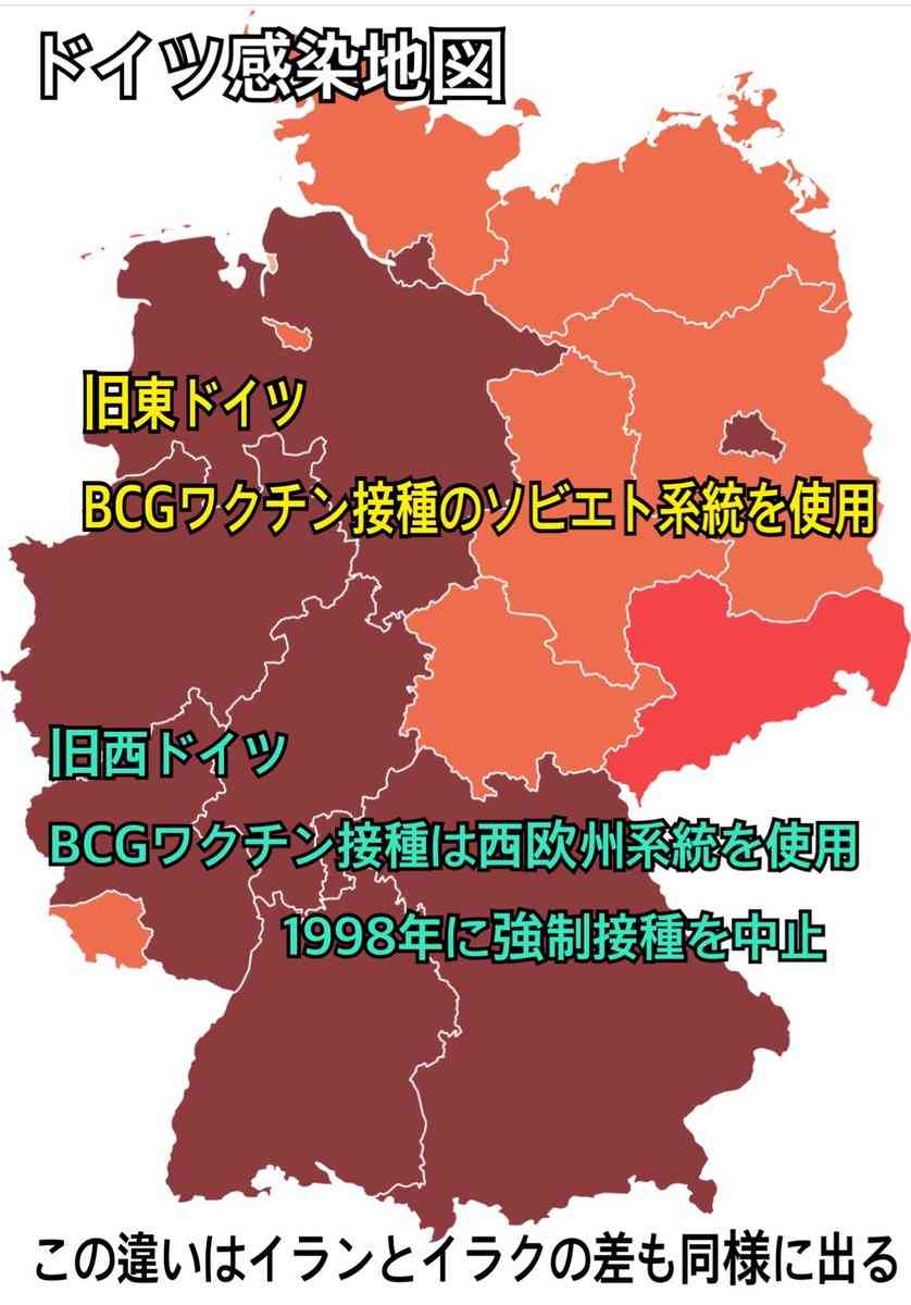 豪 BCGワクチン 新型コロナウイルスに有効か臨床試験へ