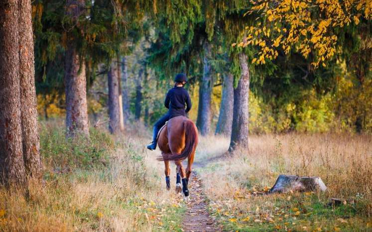 ＃1 ある夏の午後…三島由紀夫を魅了した「戦後最大の奇書」｜家畜人ヤプー｜沼正三 - 幻冬舎plus