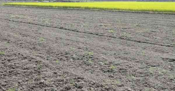 原発事故から8年…数値が物語る日本「放射能」汚染の実態 | 女性自身