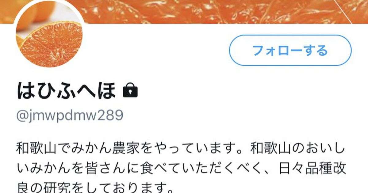 「専業主婦殴りたい」の御子柴裕太、鍵垢にしてコロコロ名前を変えている模様 - Togetter