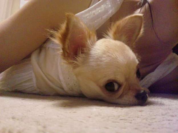 現代版『東ラブ』追加キャストに眞島秀和、高田里穂ら