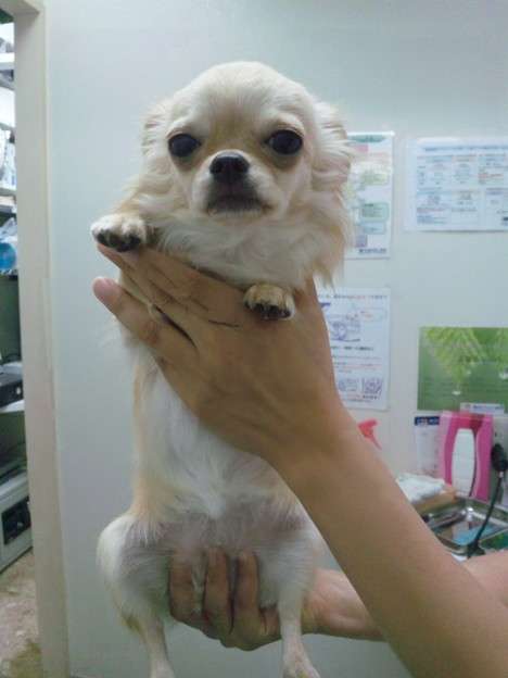 現代版『東ラブ』追加キャストに眞島秀和、高田里穂ら