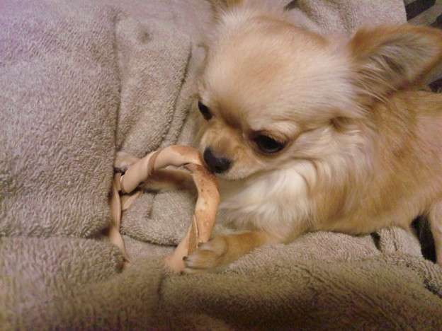 現代版『東ラブ』追加キャストに眞島秀和、高田里穂ら