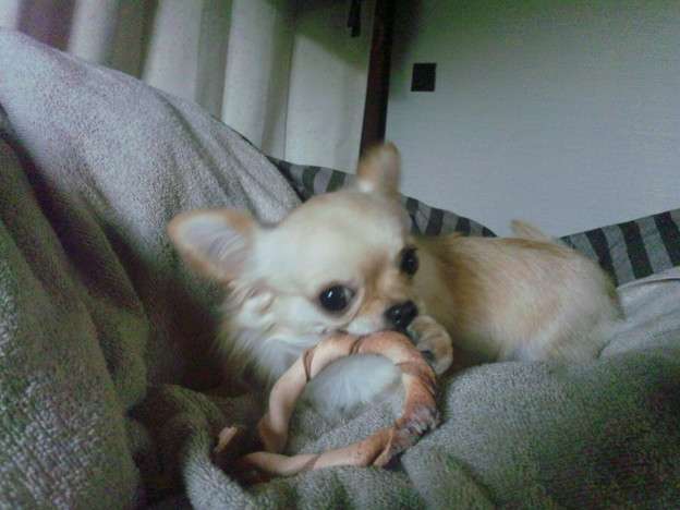 現代版『東ラブ』追加キャストに眞島秀和、高田里穂ら