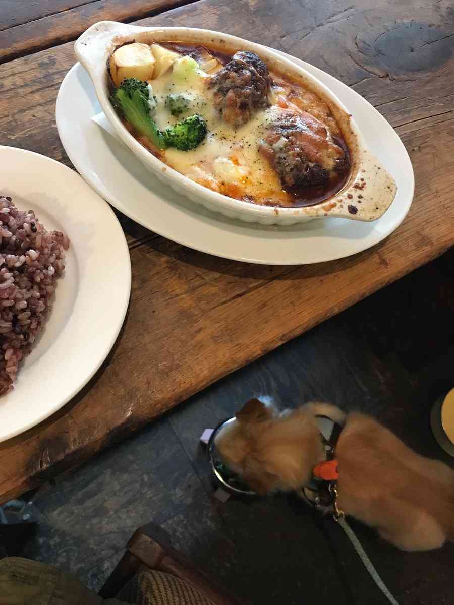 現代版『東ラブ』追加キャストに眞島秀和、高田里穂ら