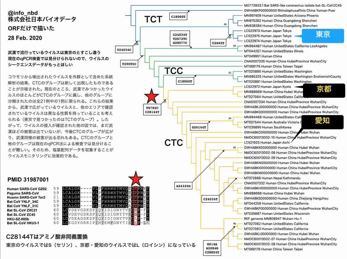 教授がエジプト旅行後に新型コロナ感染判明→卒業式が中止に。学長が会見で憤り