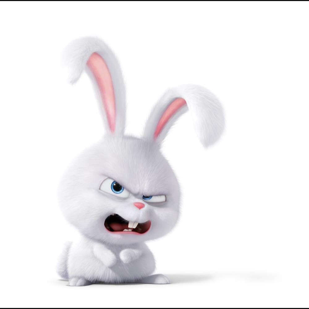 ペットあるある ガールズちゃんねる Girls Channel ペットあるある ガールズちゃんねる Girls Channel