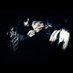 DIR EN GREY on Twitter: 