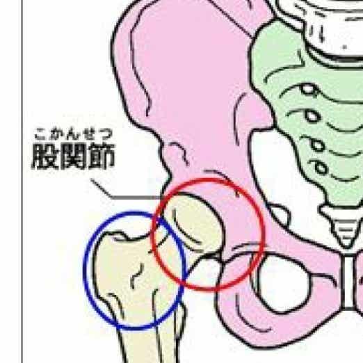 猿でもわかる程簡単で確実にマスターできる英語学習法（苫米地英人のトレーニングじゃ無理？）｜次世代トレーニングを極めしもの｜note