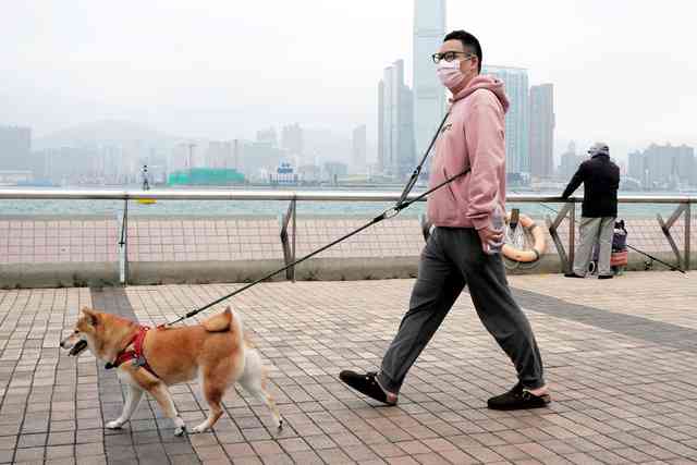 新型コロナ感染の犬が死ぬ 香港 (2020年3月18日掲載) - ライブドアニュース