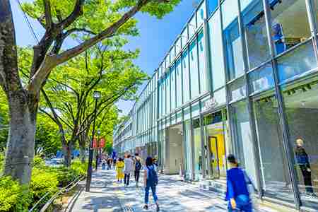 かわいい人が多いと思う都道府県ランキング|秋田県,東京都,福岡県|他 - gooランキング
