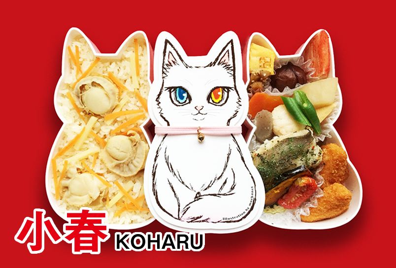 一度は食べてみたい豪華なお弁当