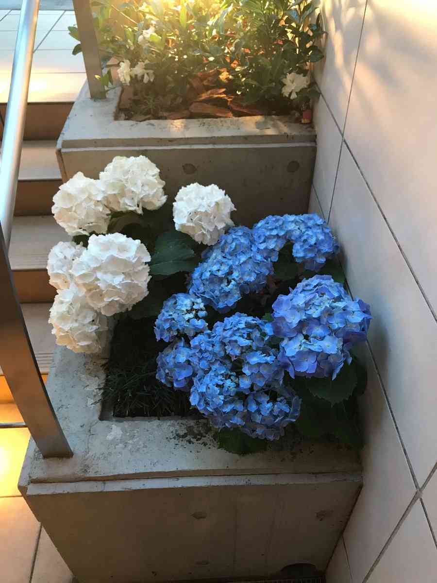 現代版『東ラブ』追加キャストに眞島秀和、高田里穂ら