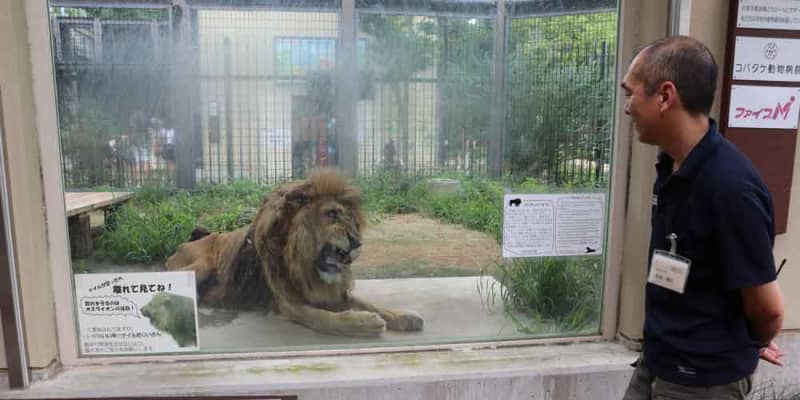 動物園で進む「環境エンリッチメント」動物に合わせ生活の質向上 ｜ 京都新聞
