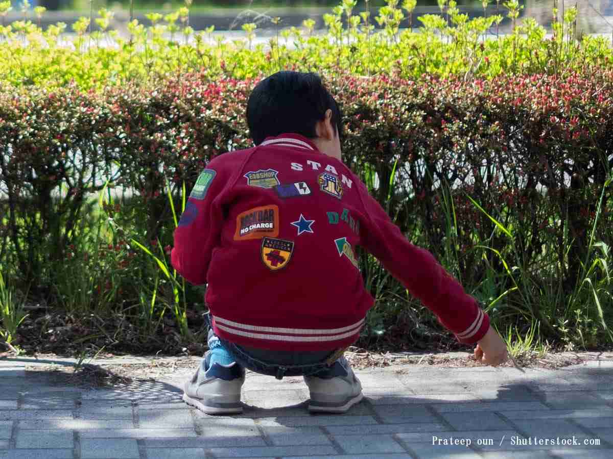 きみ、本当に５歳児？　赤ちゃんを前に少年がとった行動に母親は…  –  grape [グレイプ]