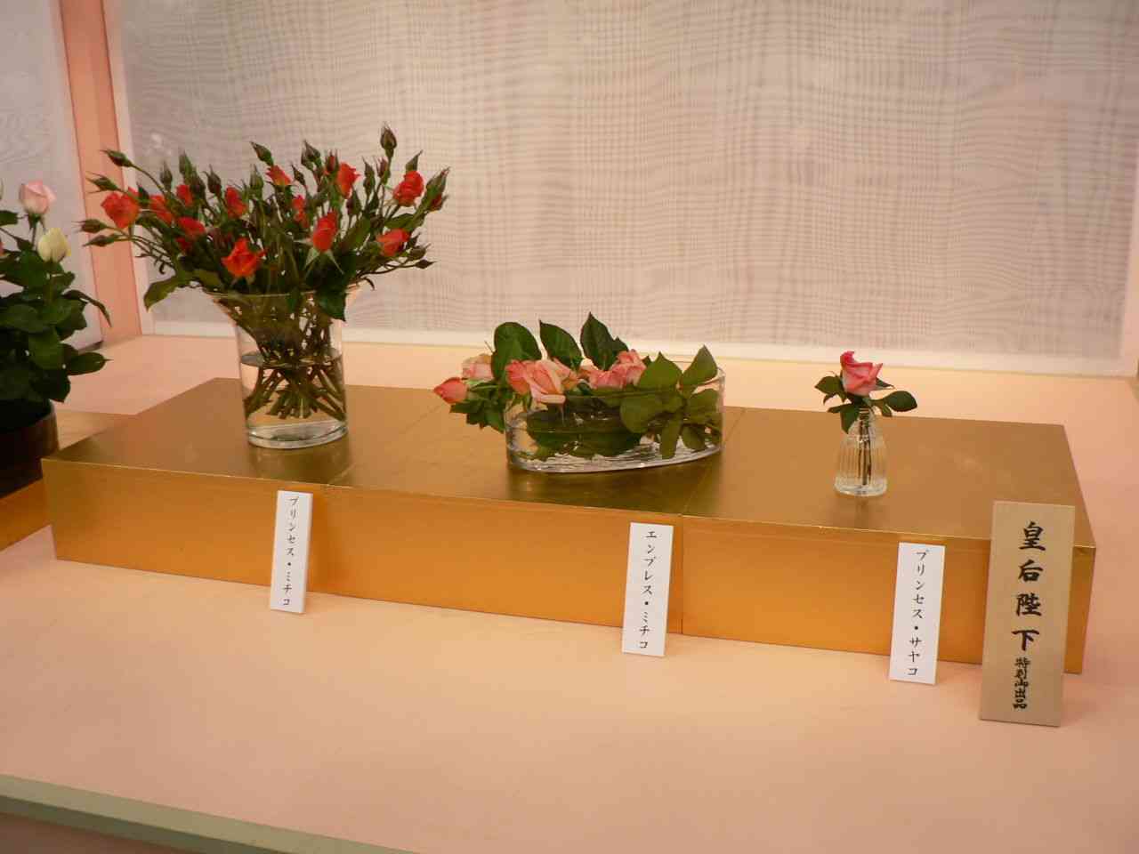 2月発表はナシ　眞子さま意志固く小室圭氏との結婚再延期の舞台裏