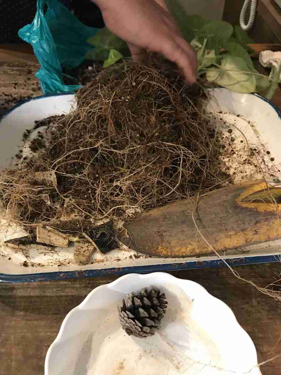 現代版『東ラブ』追加キャストに眞島秀和、高田里穂ら