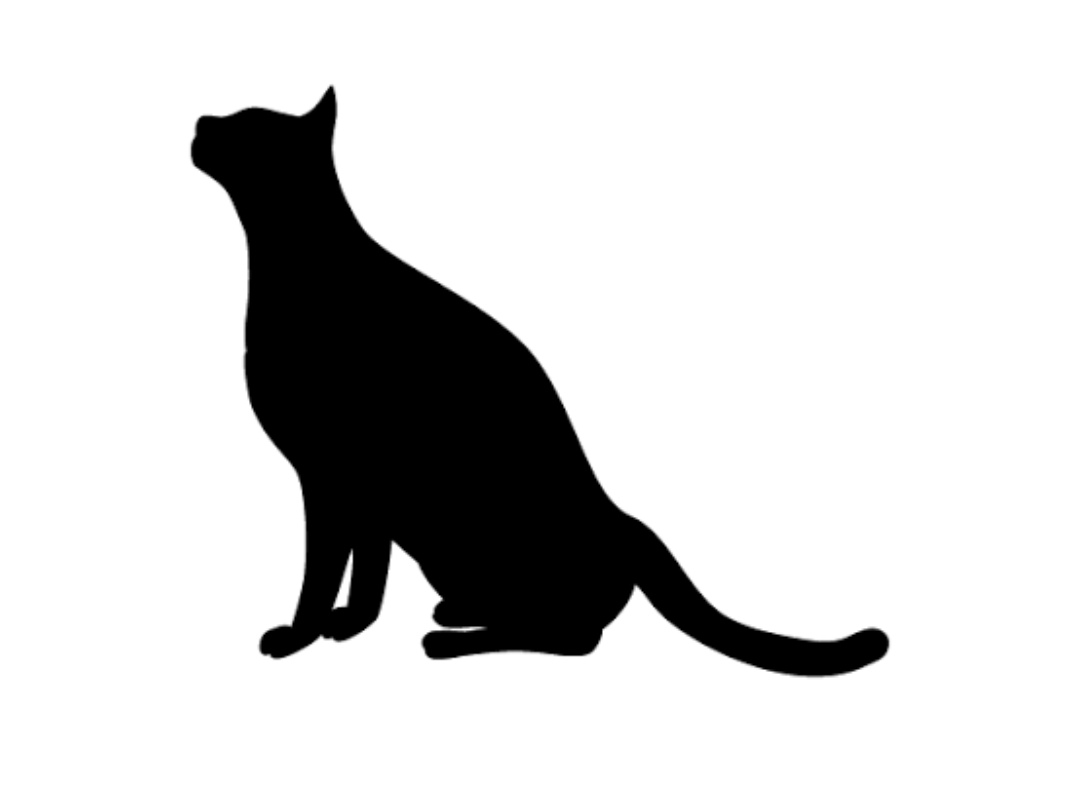 ペットを飼って変わったこと