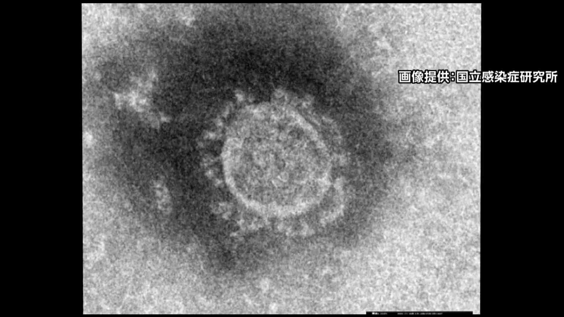 “保健所職員”の男性が新型コロナに感染…同居者は中学校教員で7日入学式に出席 学校臨時休校へ（石川テレビ） - Yahoo!ニュース