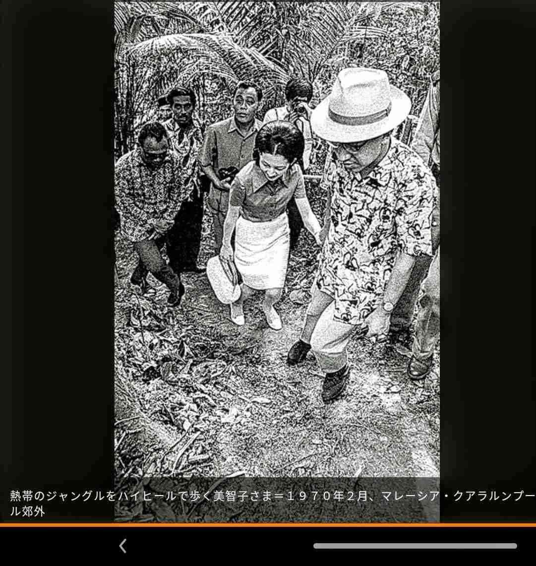 「立皇嗣の礼」延期を決定 新型コロナ感染拡大で