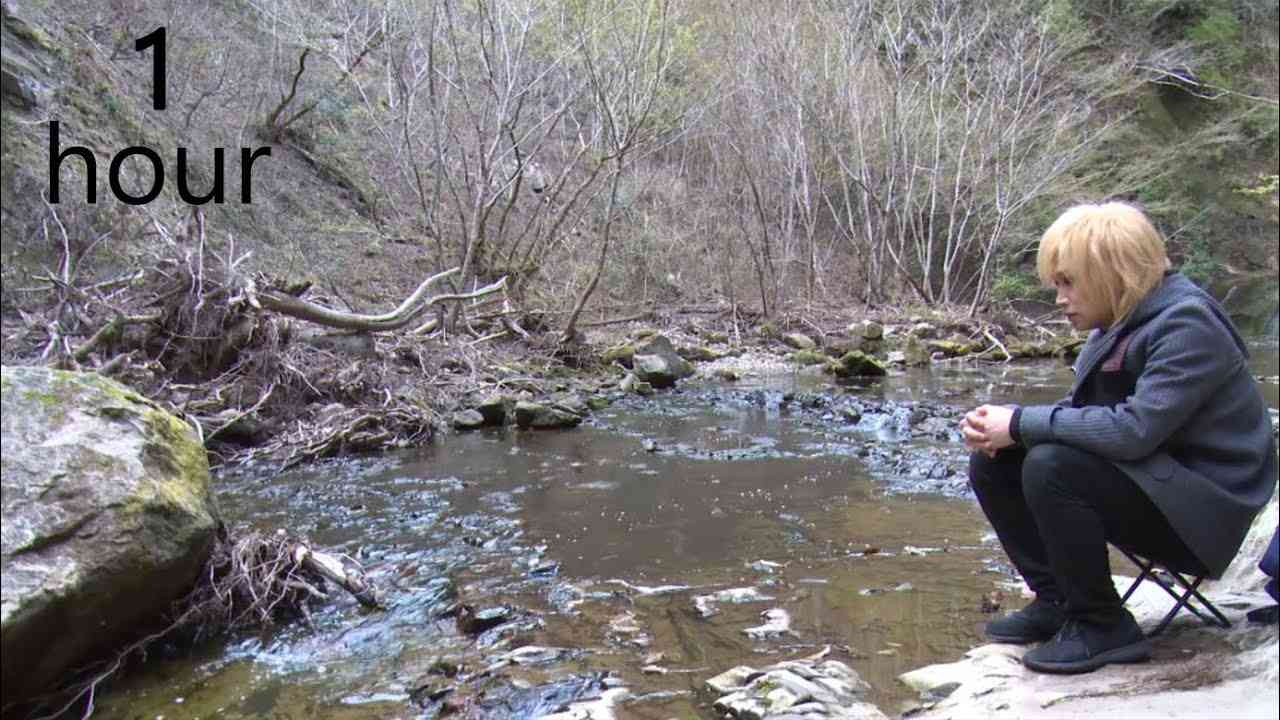 【鬼龍院】癒し＆安眠のための川のせせらぎ動画１時間 - YouTube