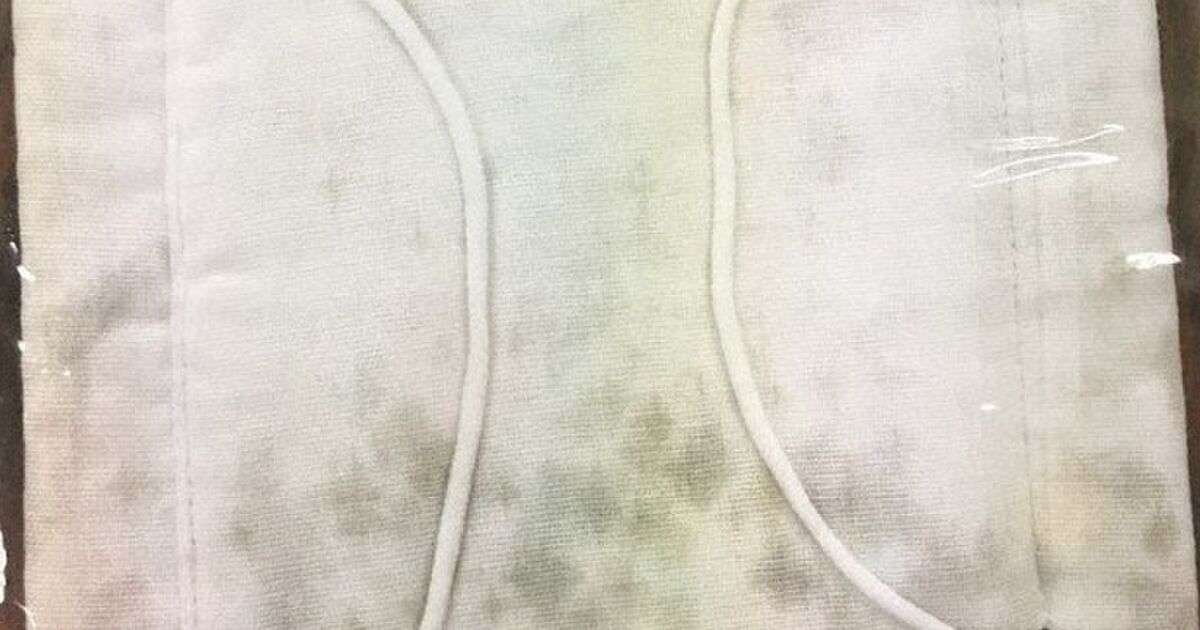 【カビノマスク】全戸配布用に準備していたマスクでも不良品が発見 18日時点で把握も公表せず - Togetter